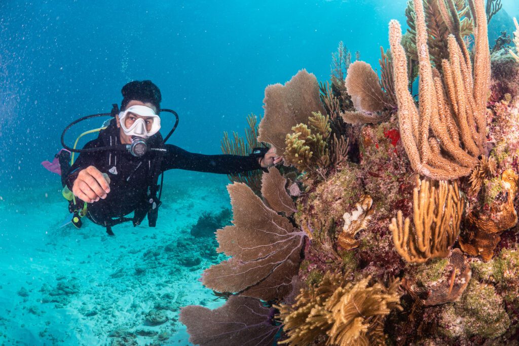 SouthEast Divers Reef Dive