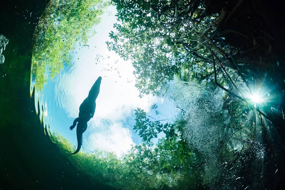 SouthEast Divers cavern cenote Casa Cenote