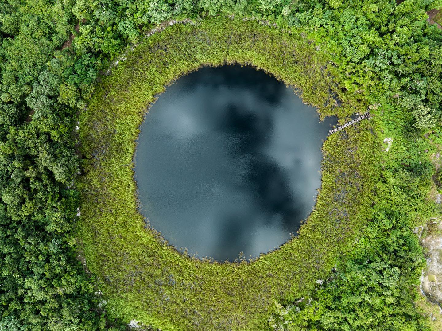 Cenote SouthEast Divers