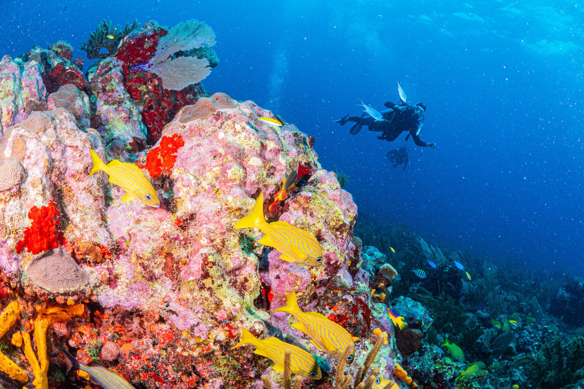 First time dive experience