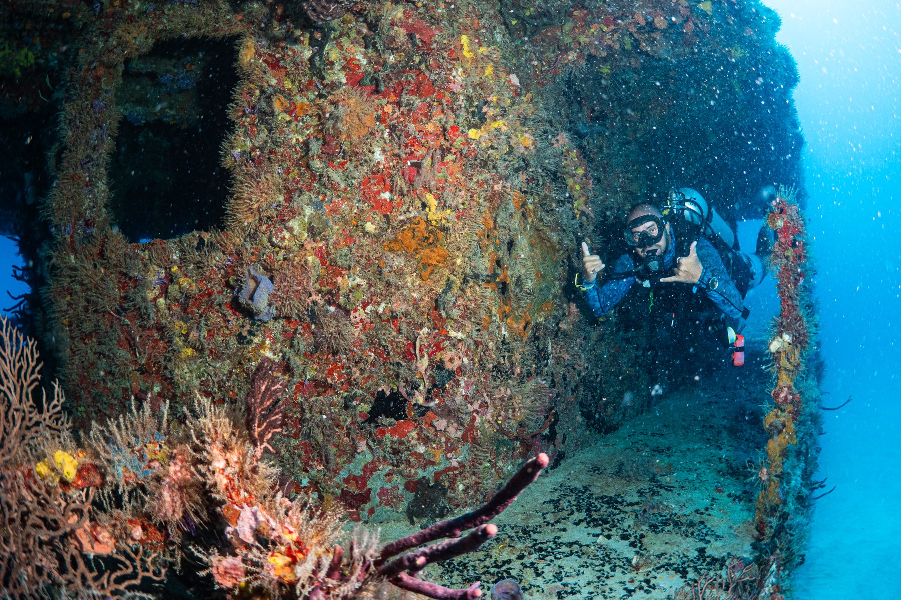Shipwreck C56 Puerto Morelos SouthEast Divers