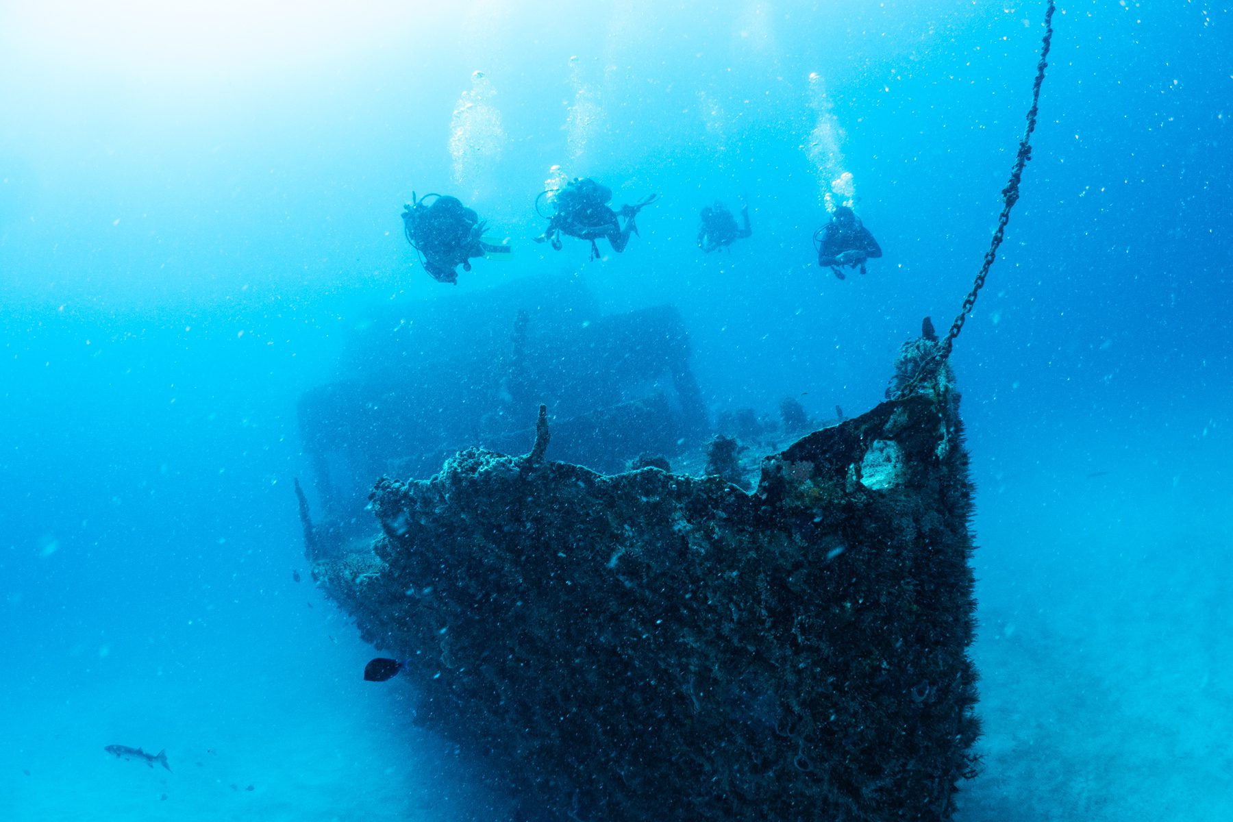 Shipwreck C56 Puerto Morelos SouthEast Divers