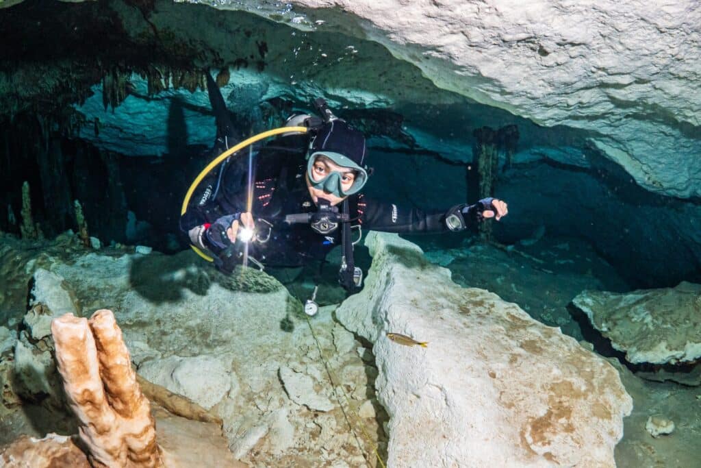 Diving in Mexican Cenotes