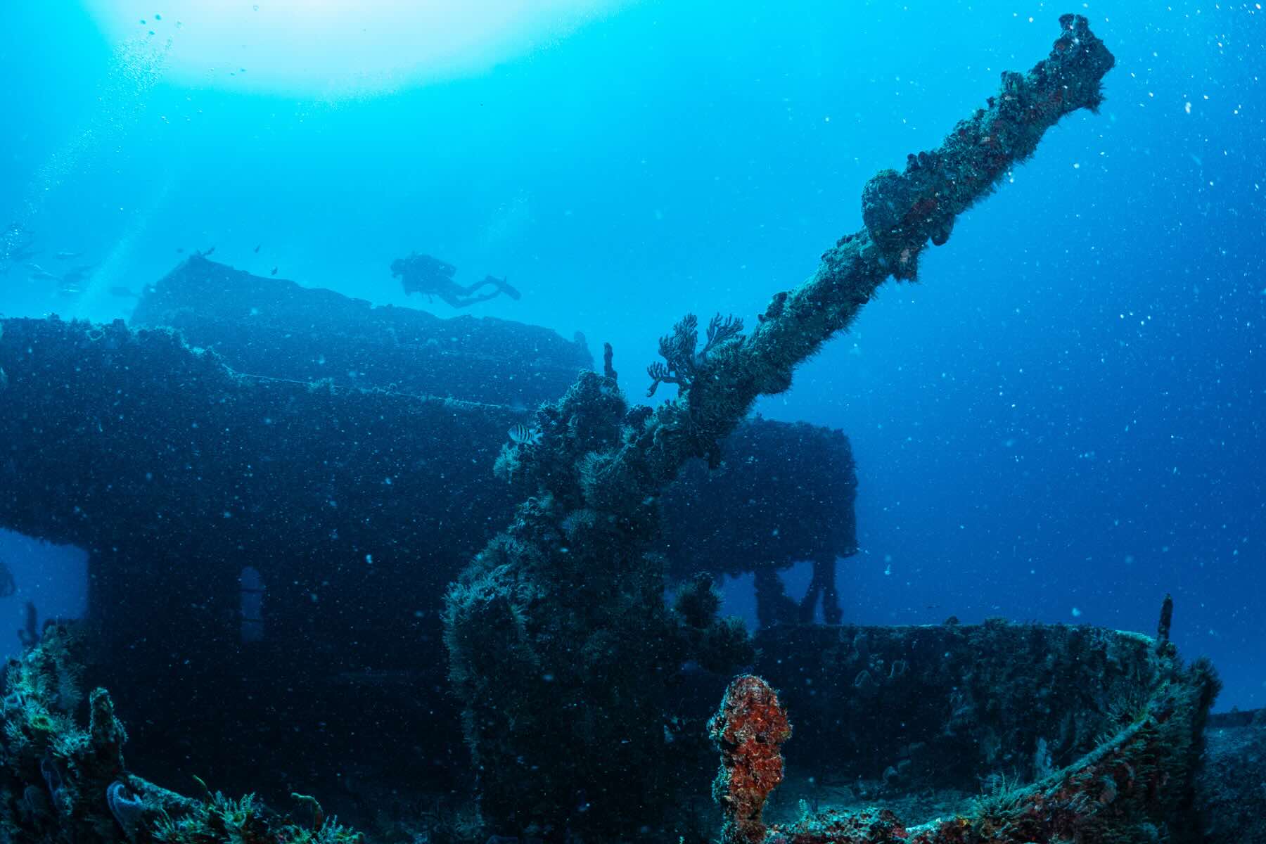 Shipwreck C56 Juan Escutia Puerto Morelos