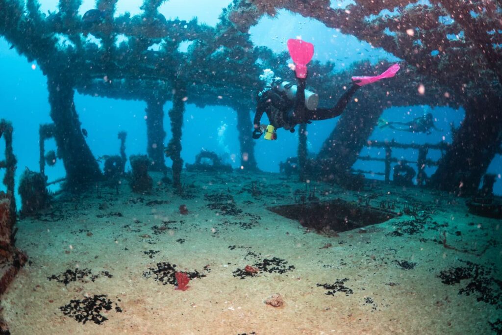 Shipwreck C56 Juan Escutia Puerto Morelos
