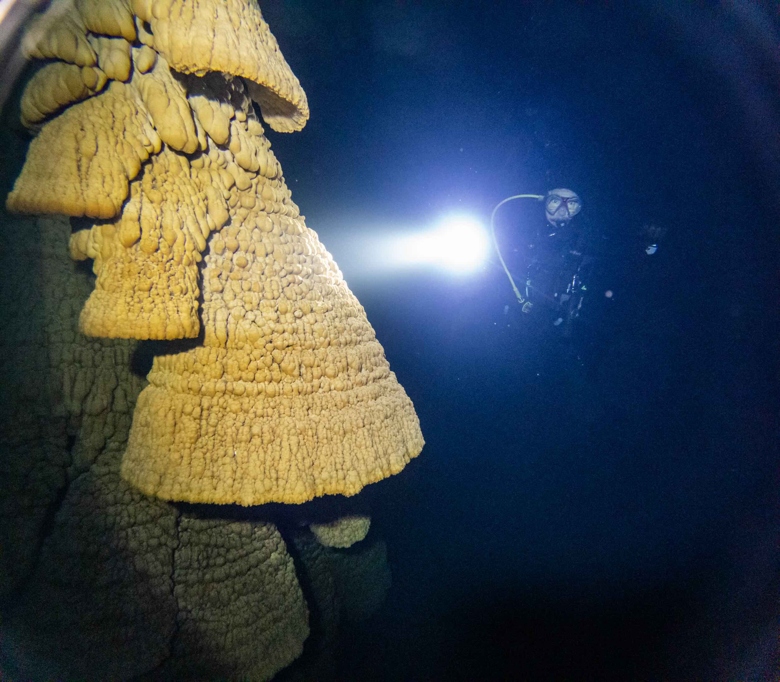 Cenote diving Zapote