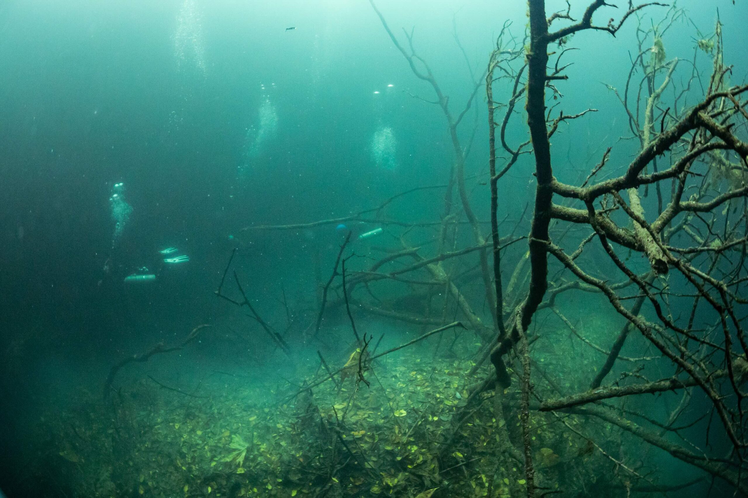 Cenote diving Fátima