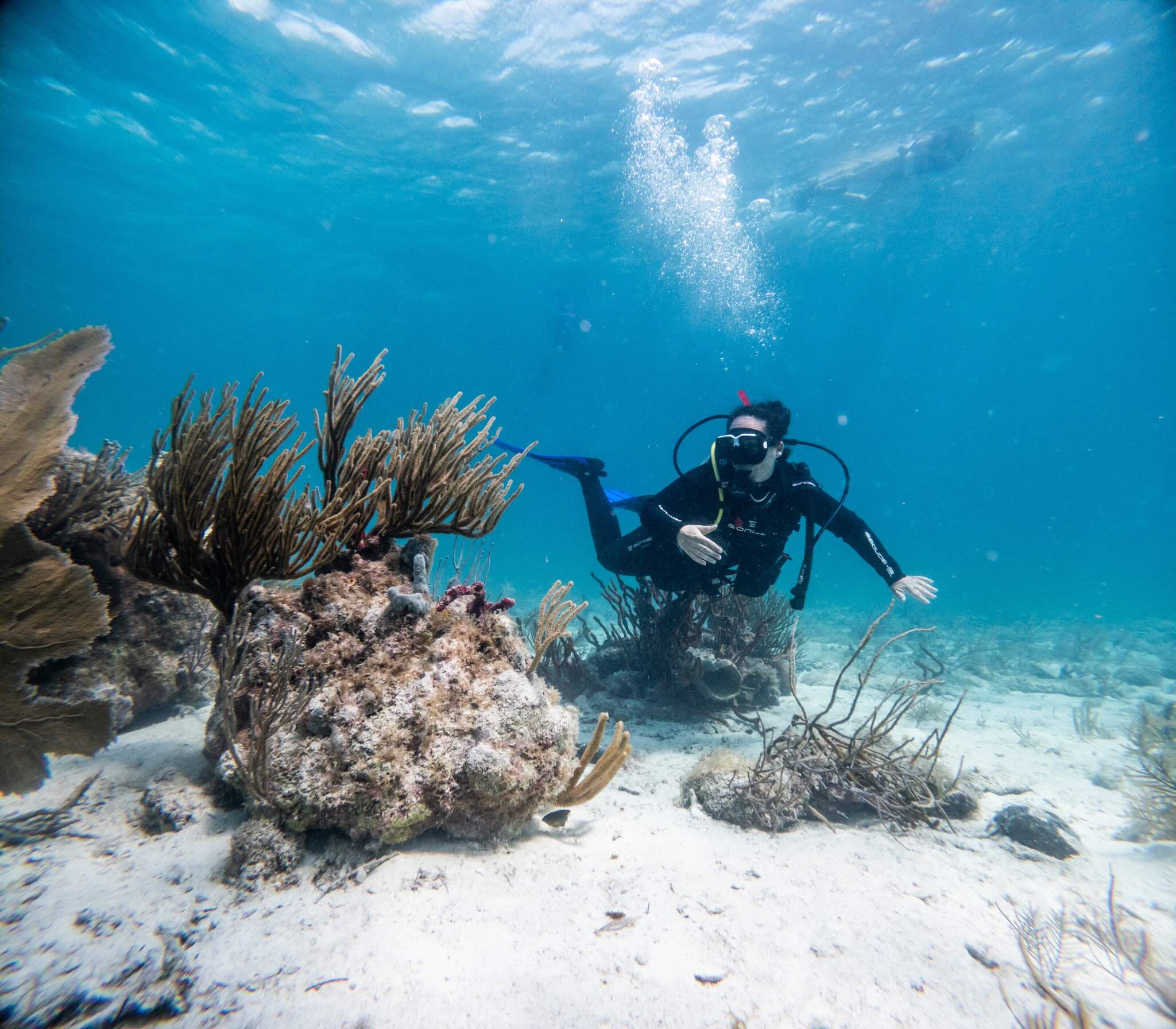 Try Scuba Prueba de Buceo