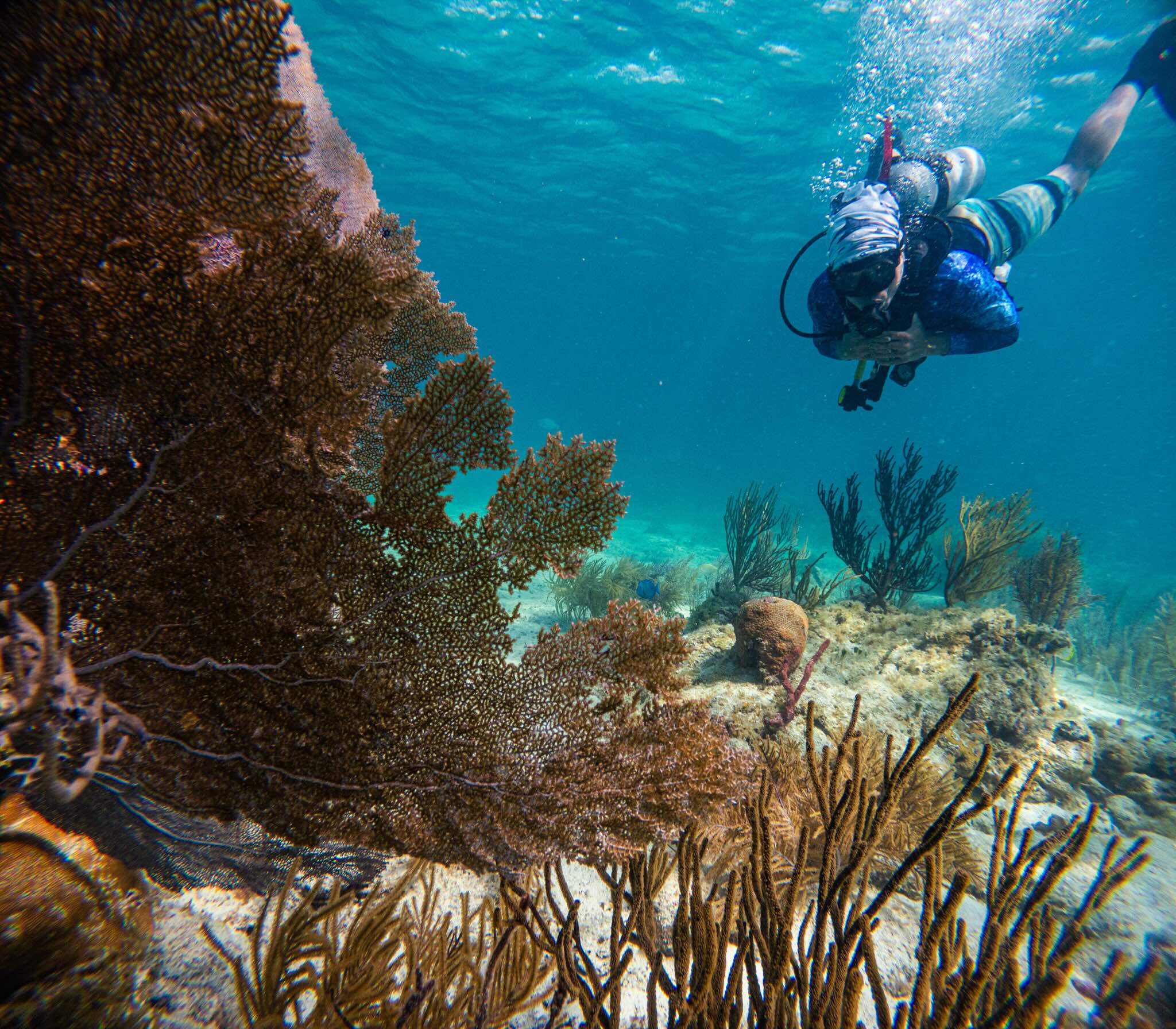 Try Scuba Prueba de Buceo