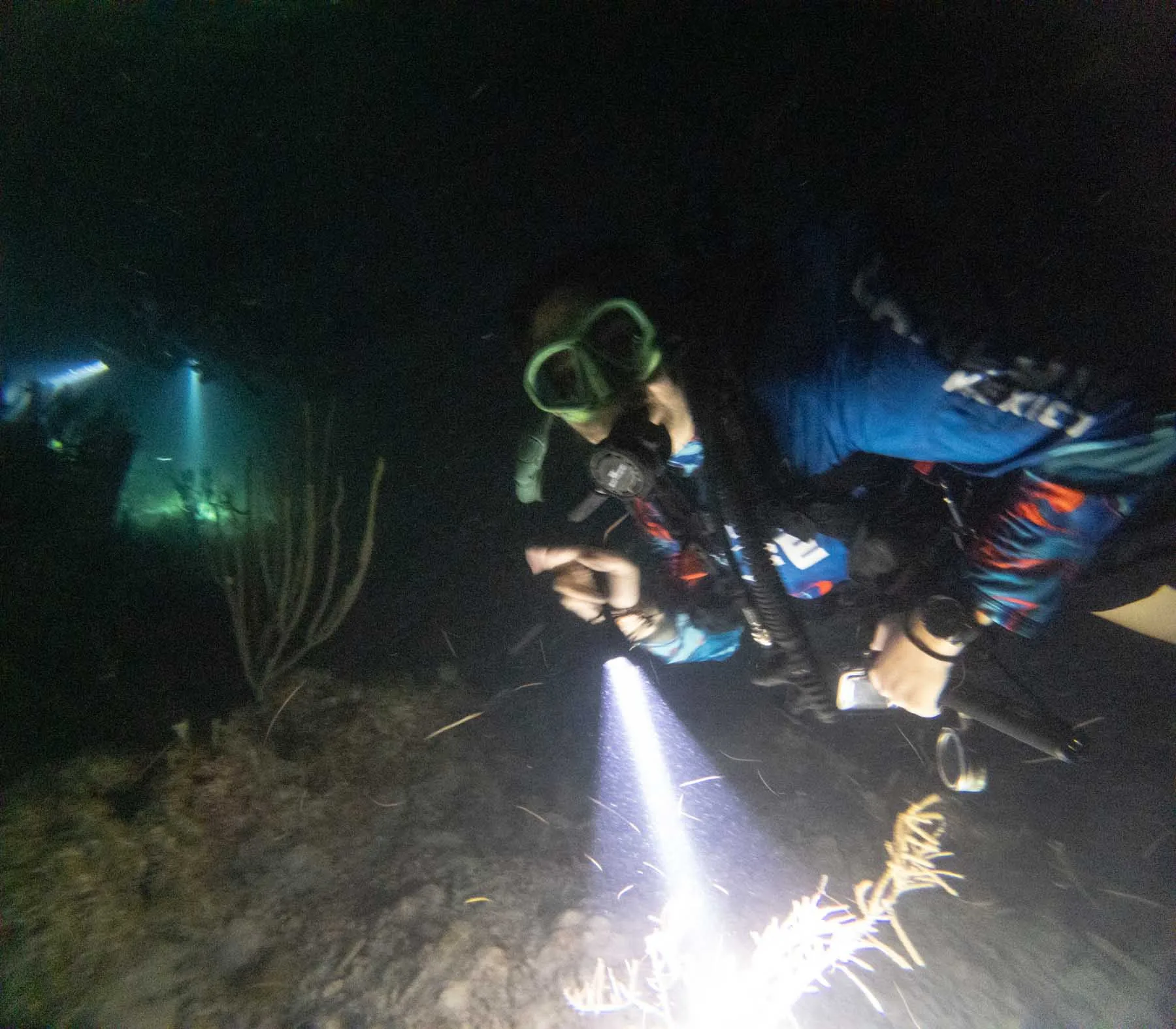 Night Diving Puerto Morelos