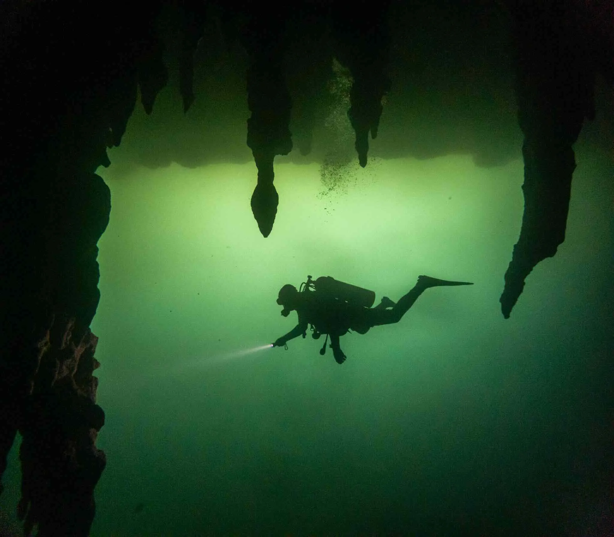 Cenote Diving Puerto Morelos