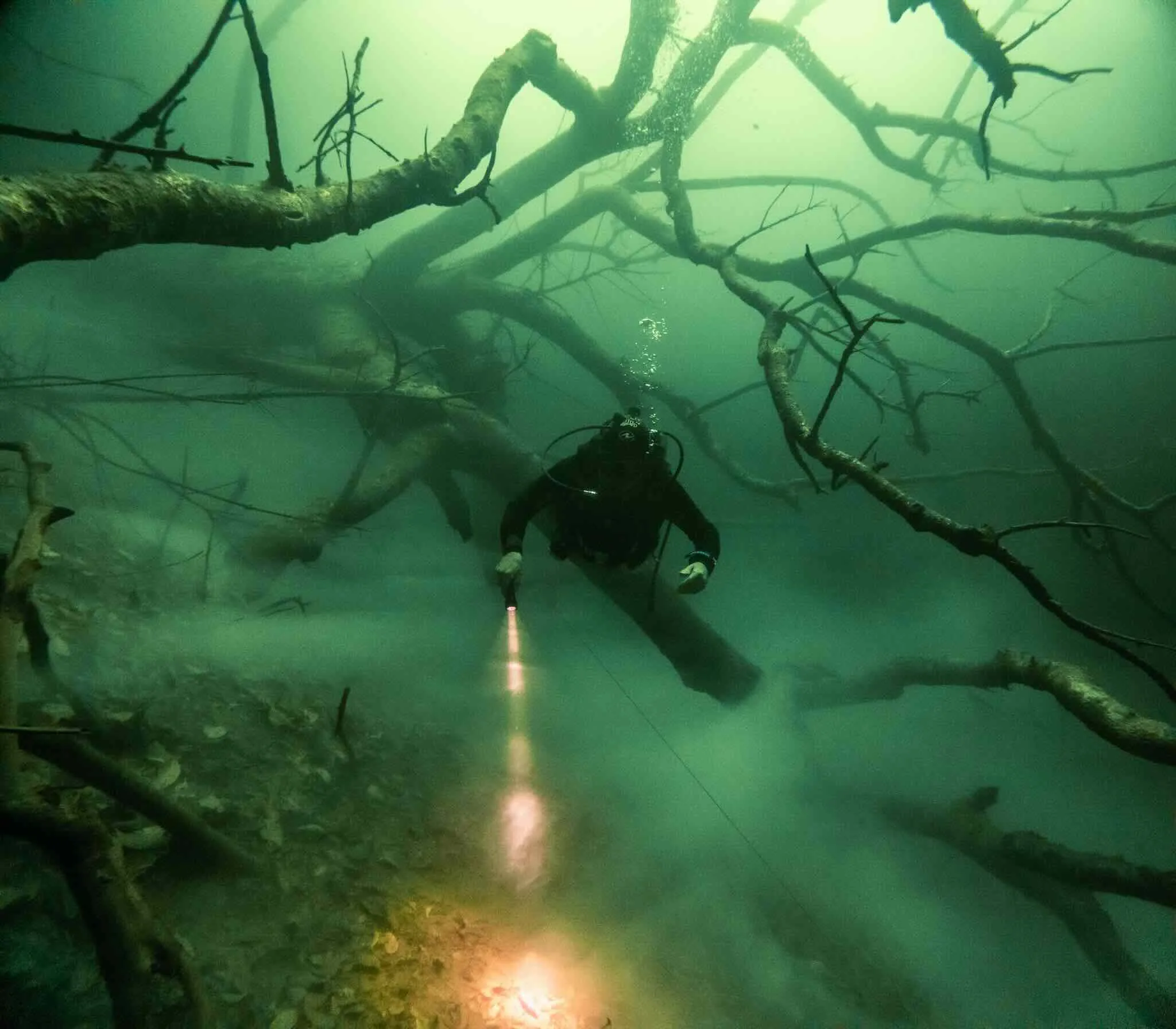 Cenote Diving Puerto Morelos