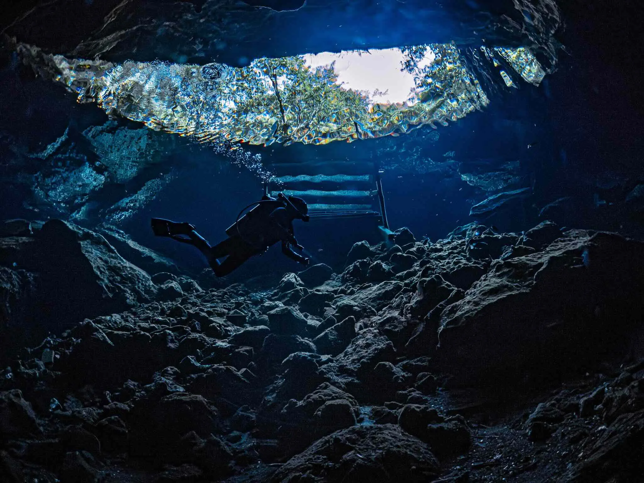 Cenote Diving Puerto Morelos