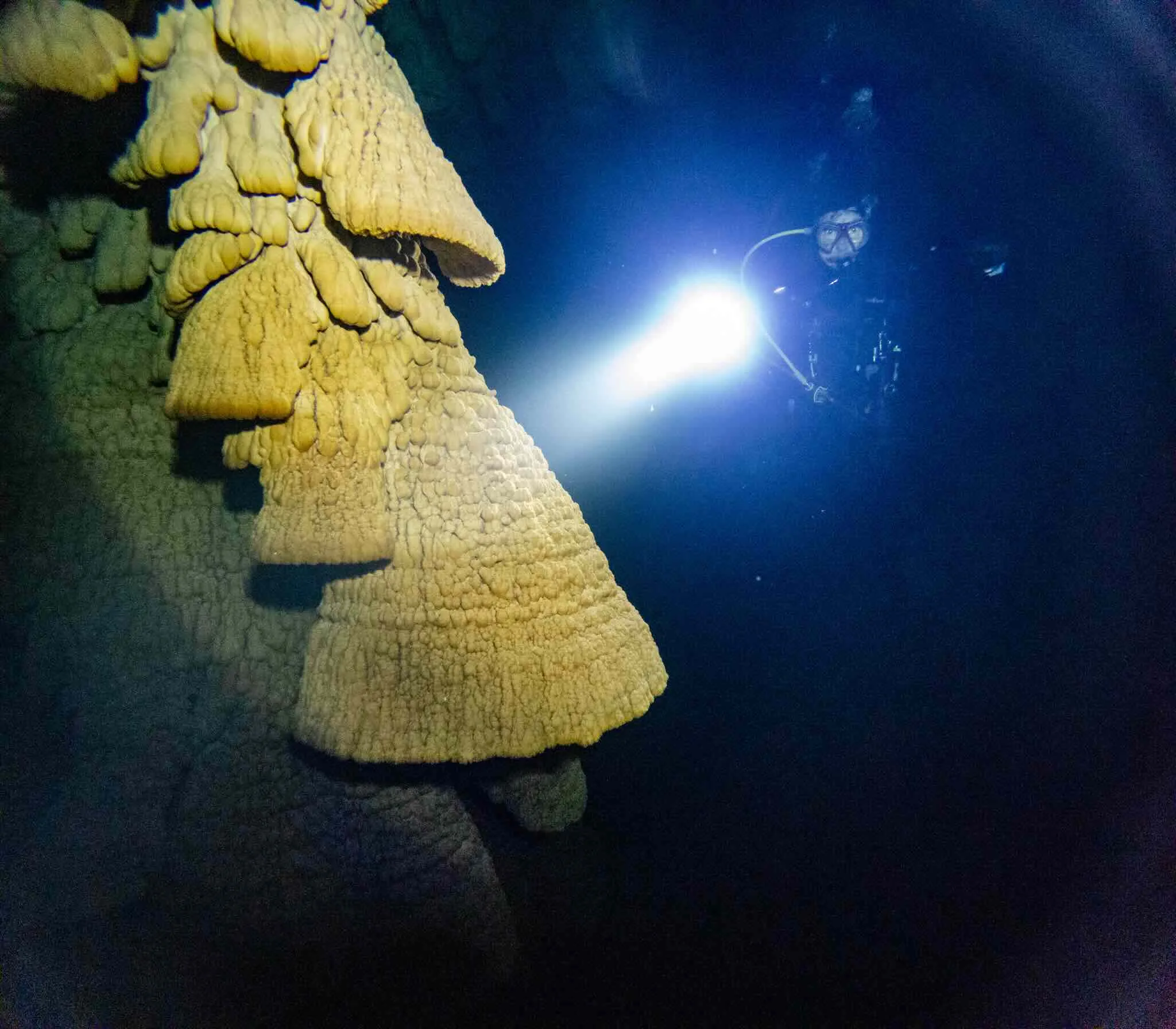 Cenote Diving Puerto Morelos