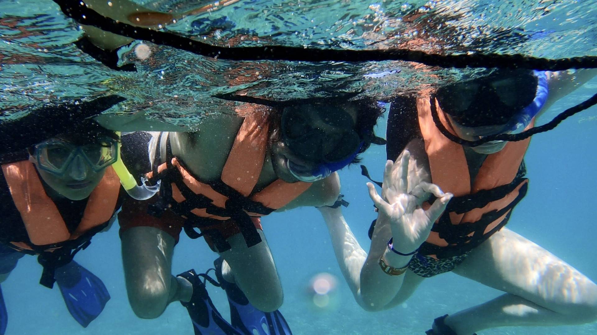 Snorkeling in Puerto Morelos National Park Reef