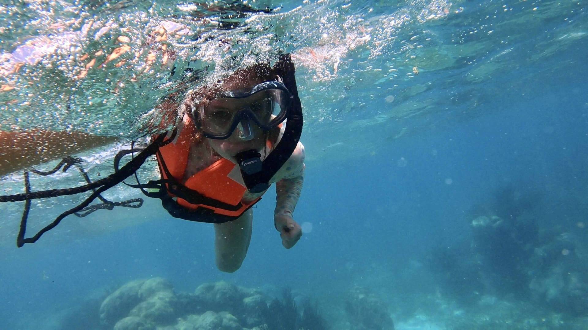 Snorkeling in Puerto Morelos National Park Reef